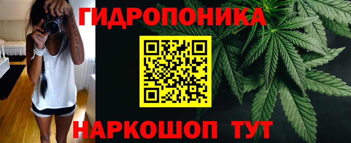 МАРИХУАНА ГИДРОПОН Майский